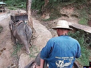 Elephant Riding Helter-Skelter Thailand with teens